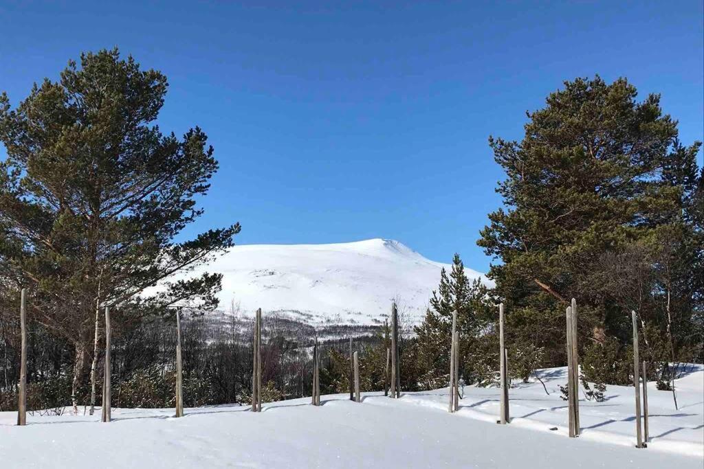 Fjellro Mountain Cabin Оппдал Екстер'єр фото